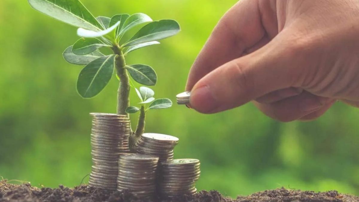 Investment Plan