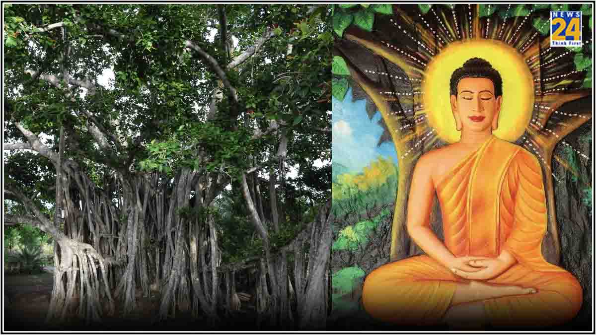 Buddha Purnima