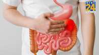 Digestive Cancer