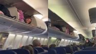 Flight Viral Video