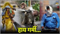 IMD issues red alert amid heatwave