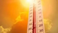 Heat stroke Death