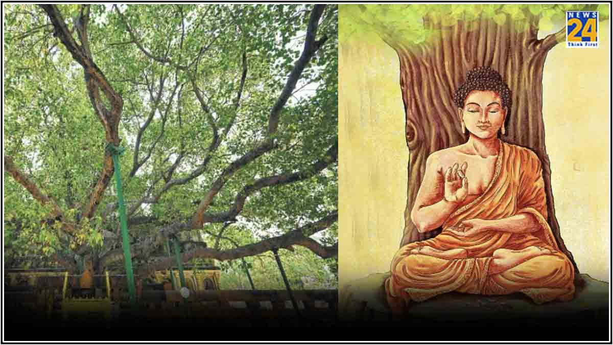 Buddha Purnima