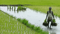 PM Kisan e-KYC Complete Process In Hindi