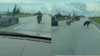 Porsche Accident Viral Video
