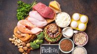 Protein Rich Foods
