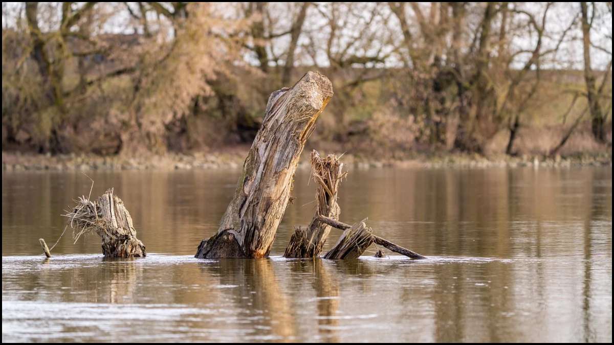River