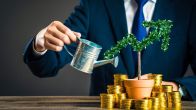 Small Cap Mutual Fund