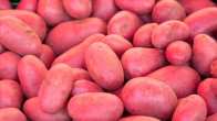 red potato benefits