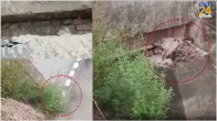 ihar Bridge Collapsed Video Viral