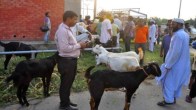 Eid ul-Adha 2024