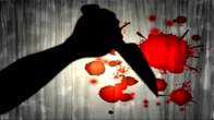 Meerut murder case