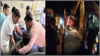 MP Rajgarh Tractor Trolly Accident