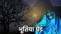 bhootiya-ped