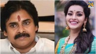 Renu Desai, Pawan Kalyan