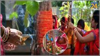 Vat-Savitri-Vrat-2024