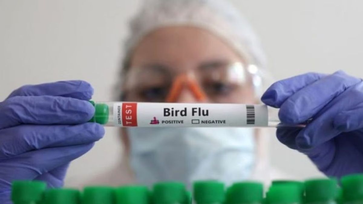 Bird Flu