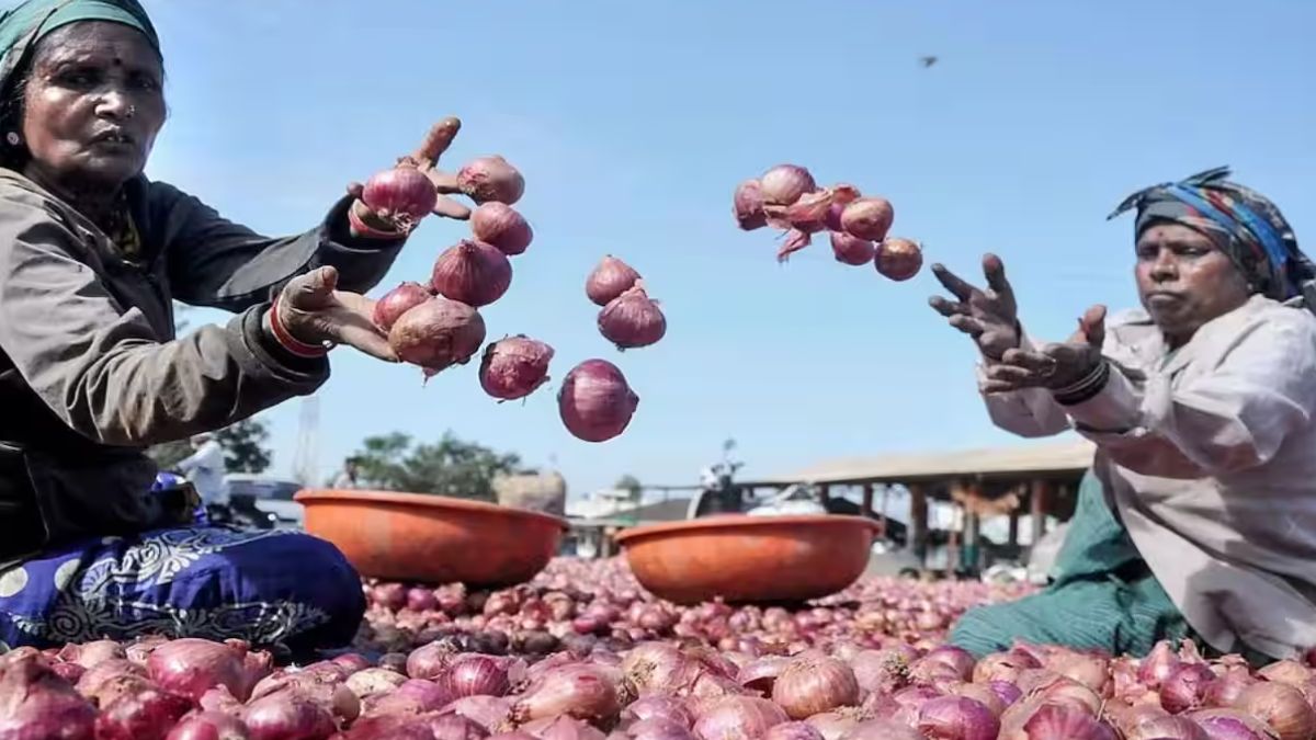Potato Onion Price