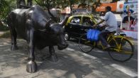 Share Market