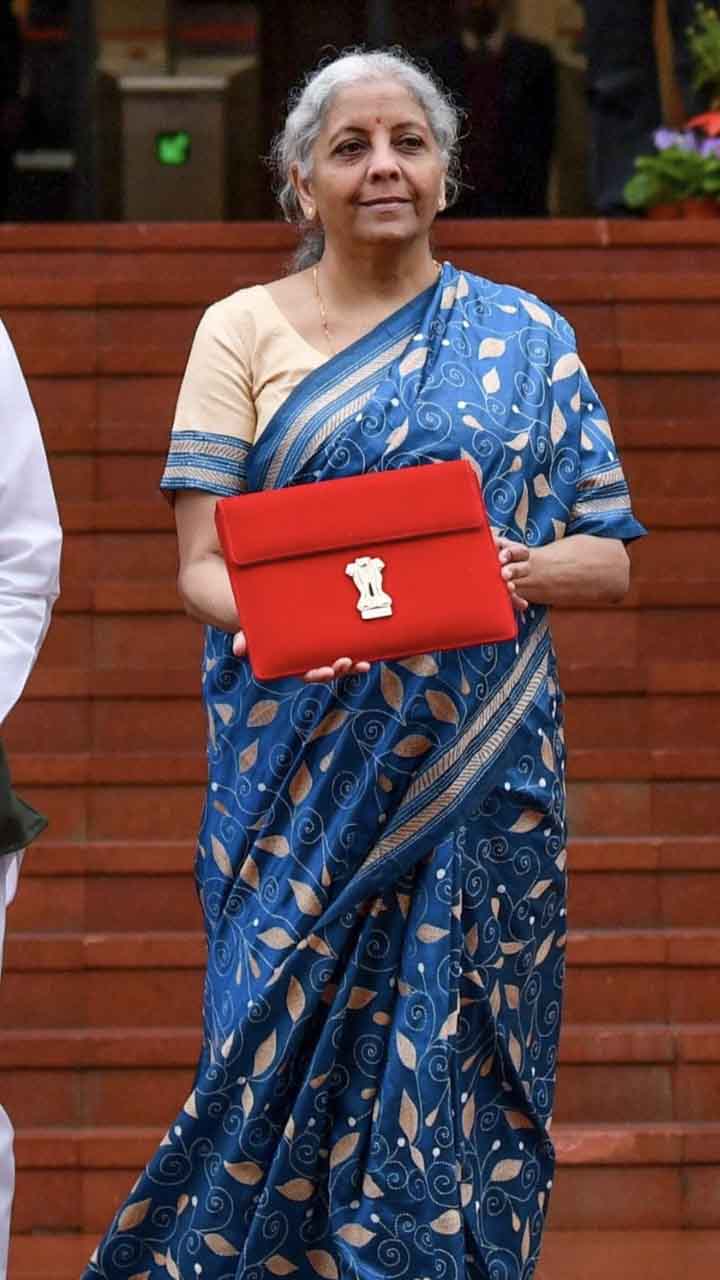 Budget 2024 Nirmala Sitharaman Saree Color Meaning