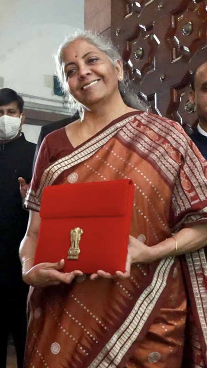 Union Budget 2022 Nirmala Sitharaman Brown Saree Look