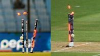 Cricket Wicket