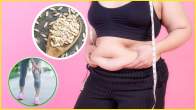 Cucumber Seeds Benefits in Hindi