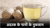 Ginger Water side effects