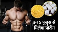 protein rich food