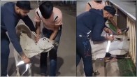 Desi Jugaad Video