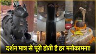 Largest Shivling In Delhi NCR