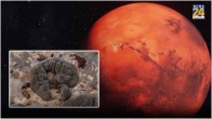 Life on Mars Space Scientist Research