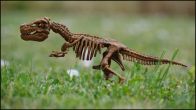 Skeleton Replica Of A Dinosaur