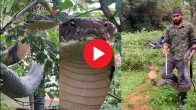Karnataka Viral Video