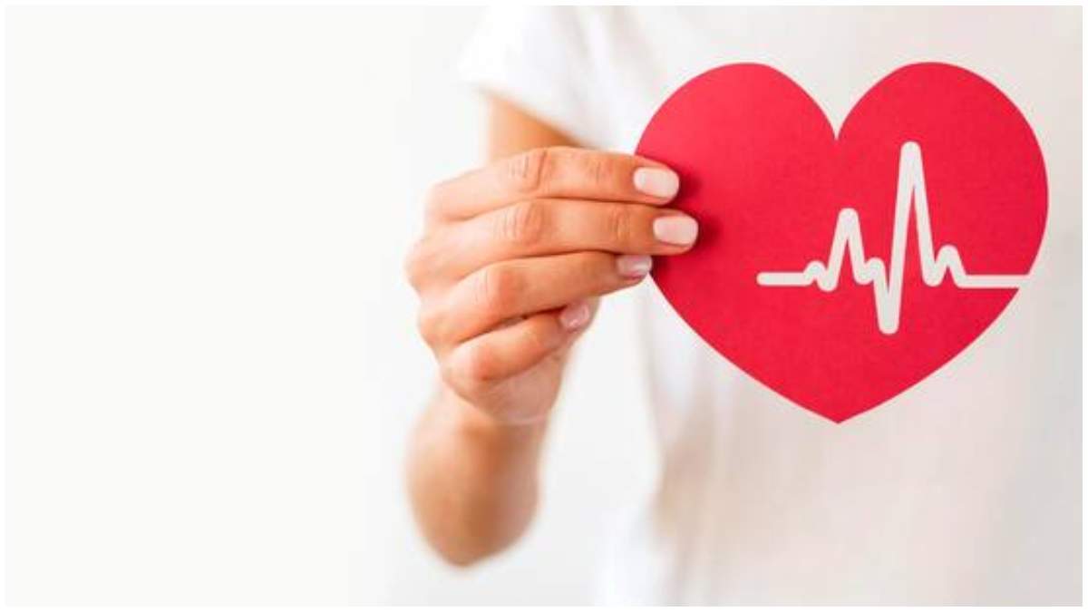 cucumber seeds beneficial for heart