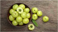 Amla Seeds