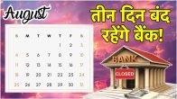 banks will closed for three days from 24 august to 26 august 2024 in India