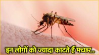 इन लोगों को क्यों काटते हैं इतने मच्छर?