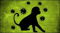 Mpox or Monkeypox virus illustration