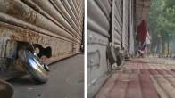 Bharat Bandh