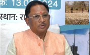 cm sai news