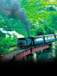 ooty Train Photo Viral