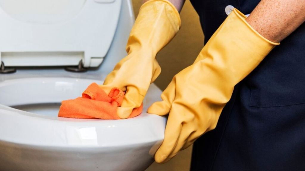 toilet cleaning
