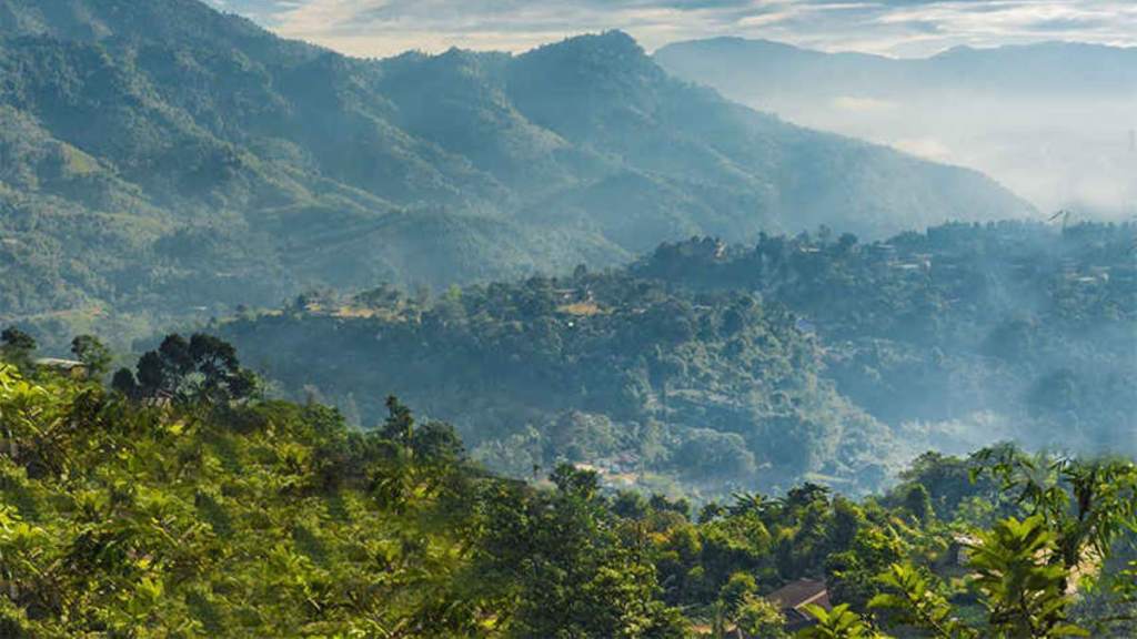 नेतरहाट हिल स्टेशन