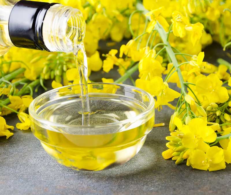 Canola Oil Side effects