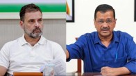 Congress- AAP Alliance Haryana Assembly Election 2024