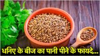 coriander seeds water