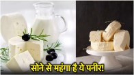 Most Expensive Paneer in the World