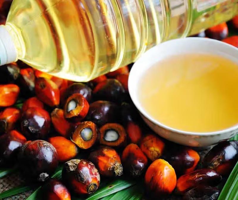 Palm Oil Side effects