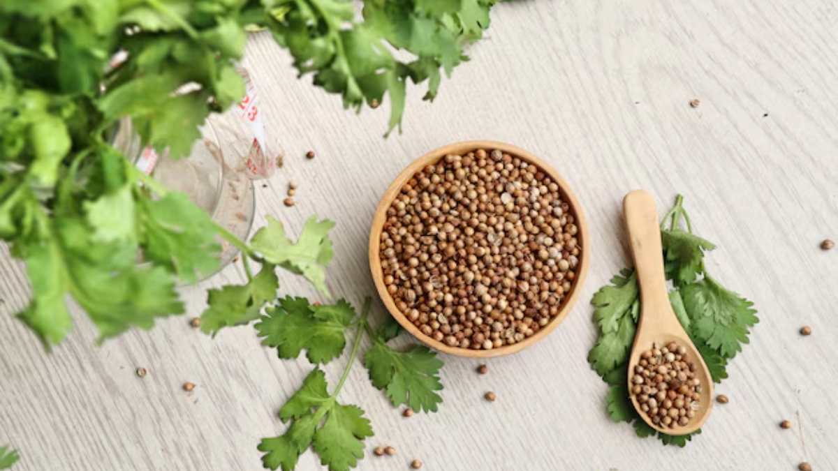 coriander seeds water benefits